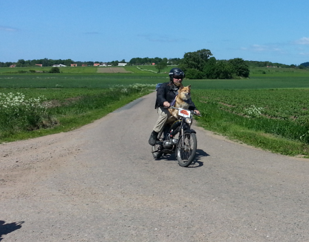 Människans bästa vän